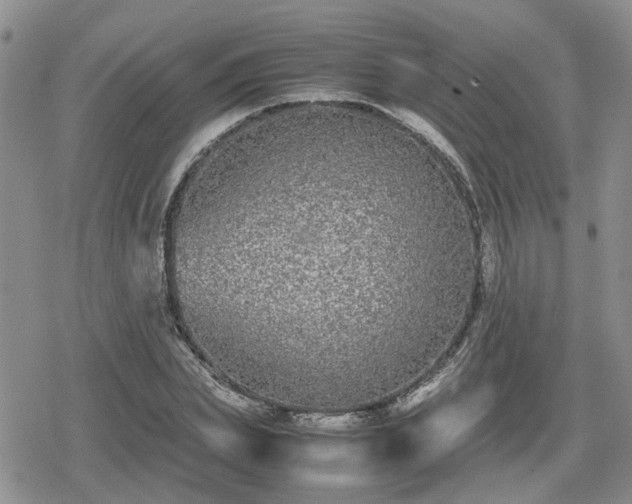 X0000078840831200611201311