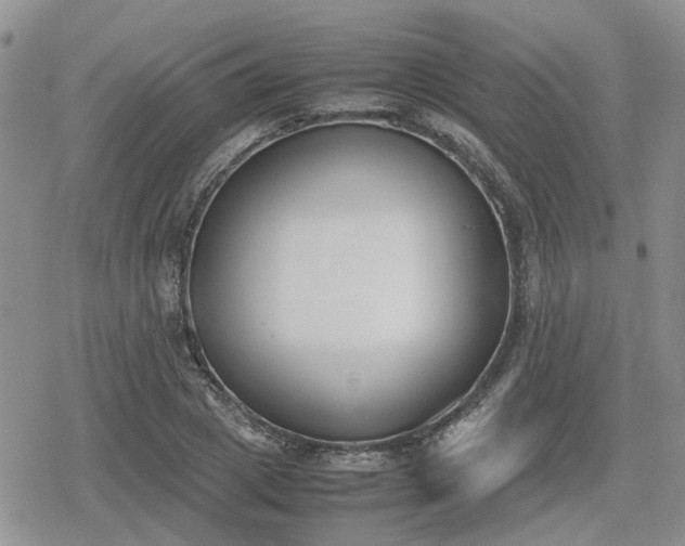 X0000078840833200611201311