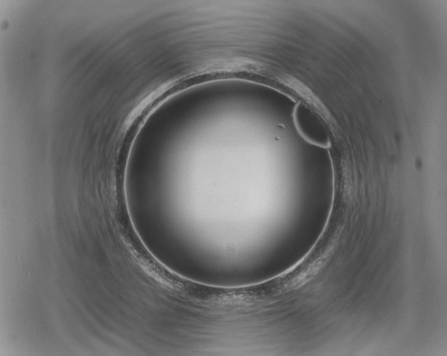 X0000078840834200611201311