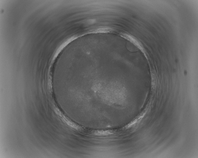 X0000078840835200611201311