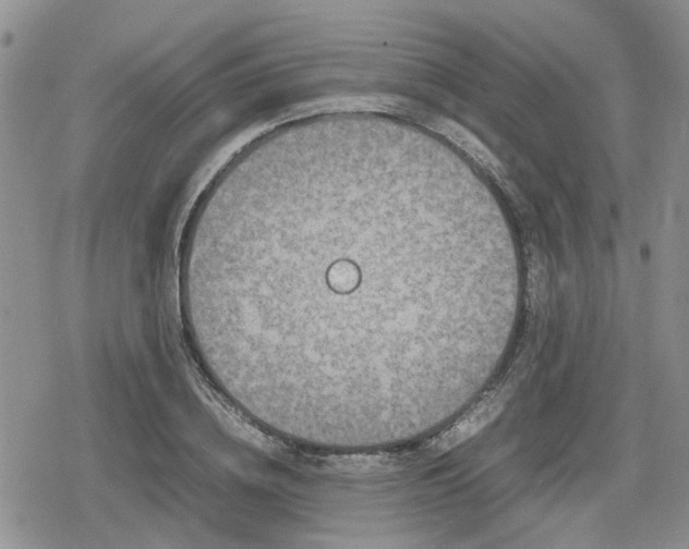 X0000078840836200611201311