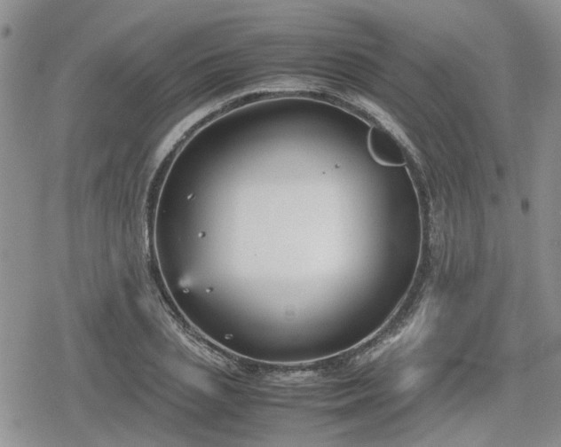 X0000078840837200611201311