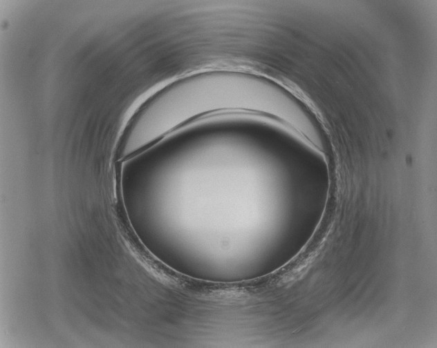 X0000078840838200611201311