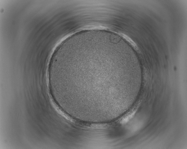 X0000078840840200611201311