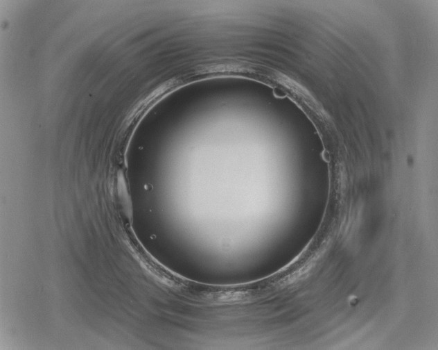 X0000078840841200611201311