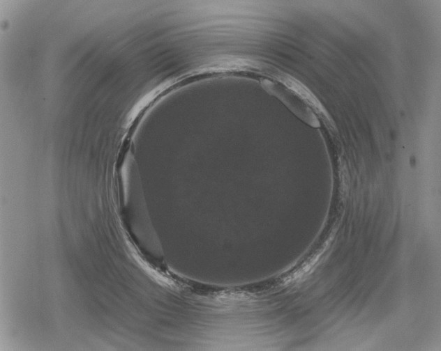 X0000078840842200611201311