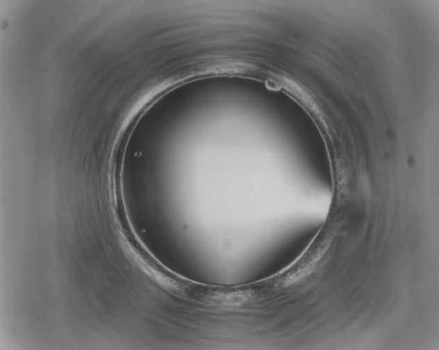 X0000078840843200611201311