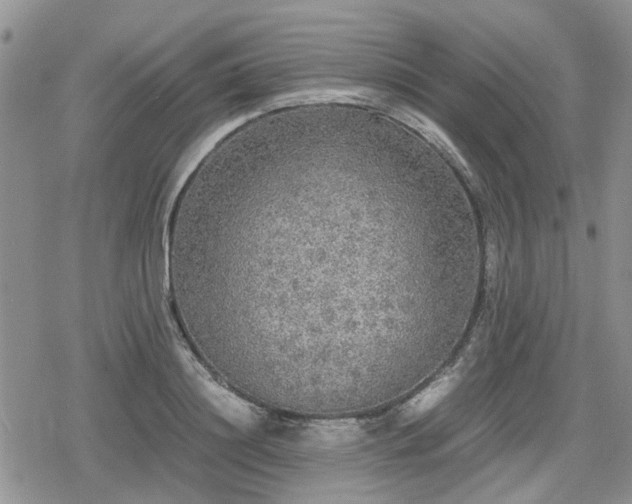 X0000078840844200611201311