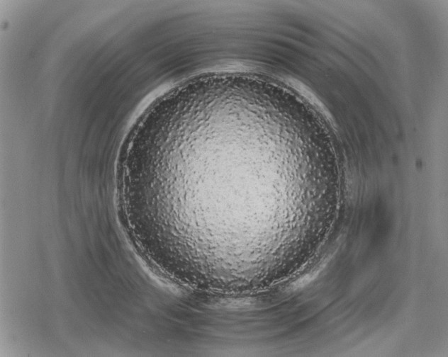 X0000078840845200611201311