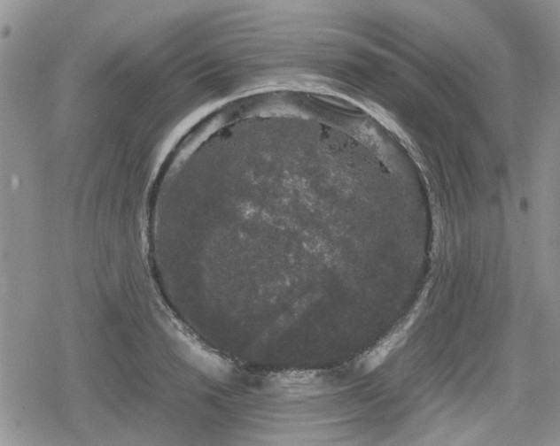 X0000078840846200611201311