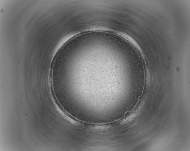 X0000078840847200611201311