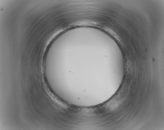 X0000078840848200611201311