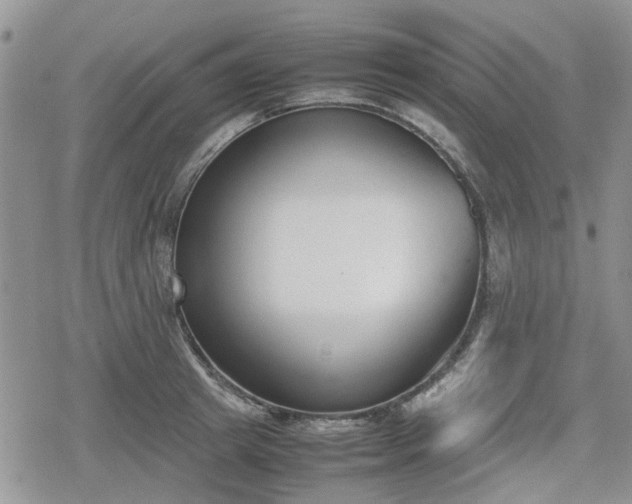 X0000078840849200611201311