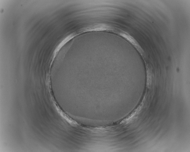 X0000078840850200611201311