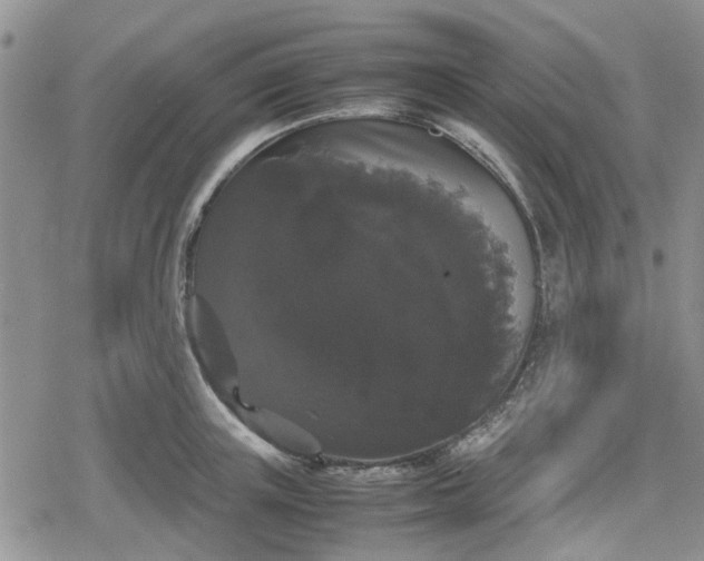 X0000078840851200611201311