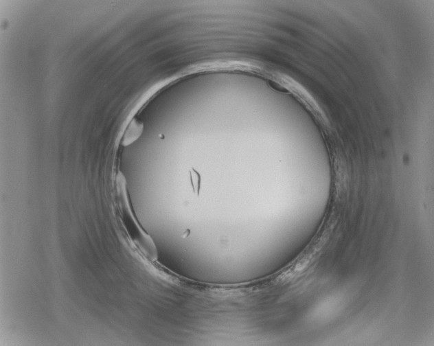 X0000078840852200611201311