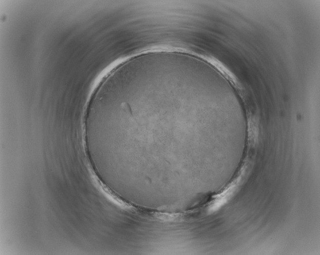 X0000078840854200611201311