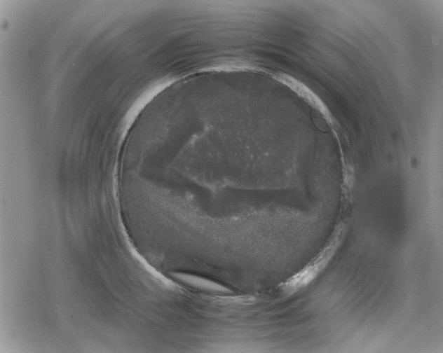 X0000078840855200611201311