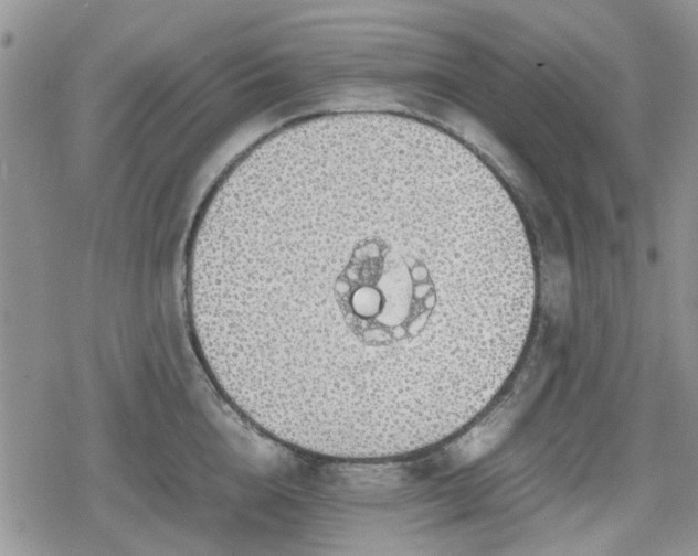 X0000078840856200611201311