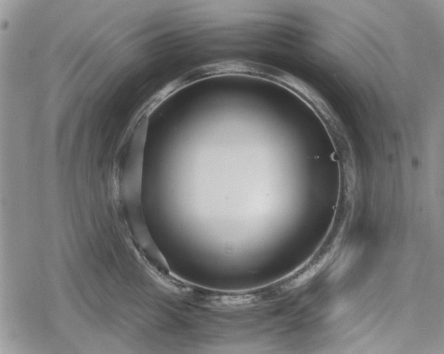 X0000078840857200611201311