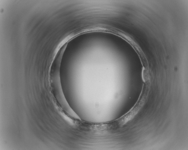 X0000078840858200611201311