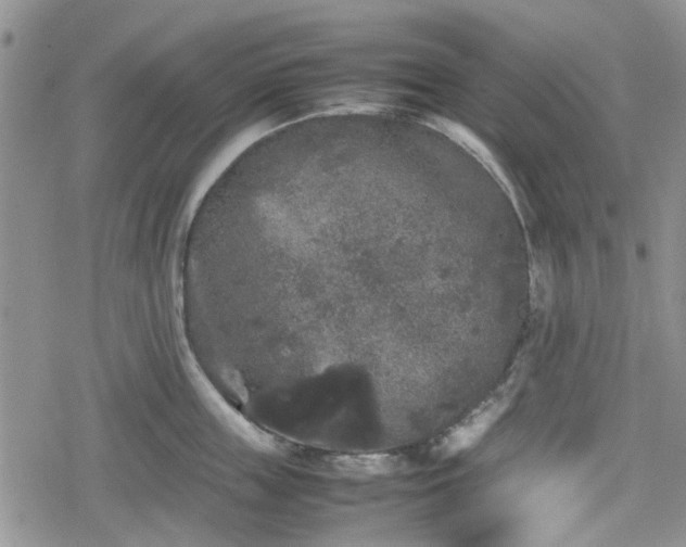 X0000078840859200611201311