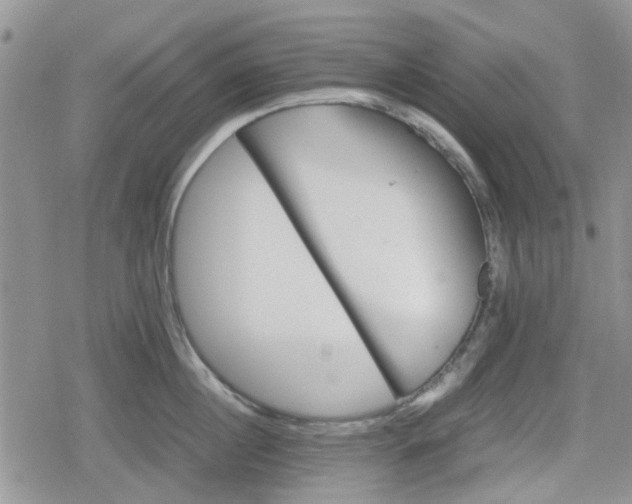 X0000078840860200611201311