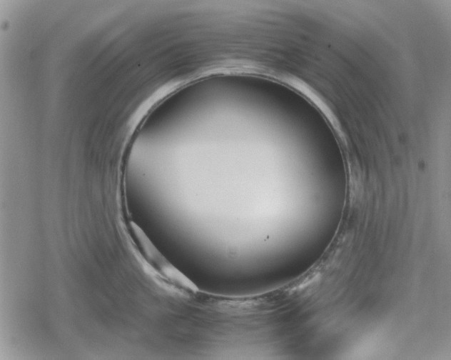 X0000078840861200611201311