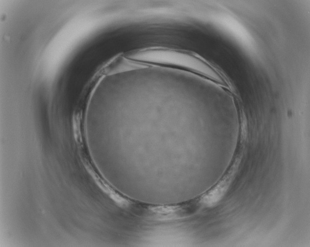 X0000078840862200611201311