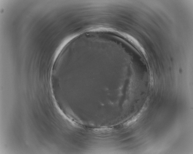 X0000078840863200611201311