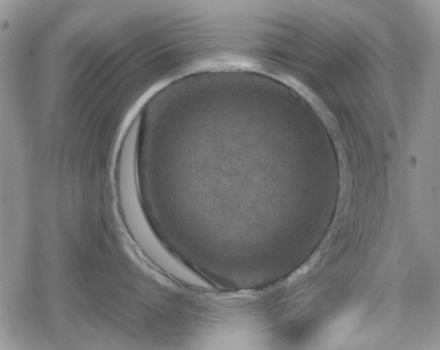 X0000078840864200611201311