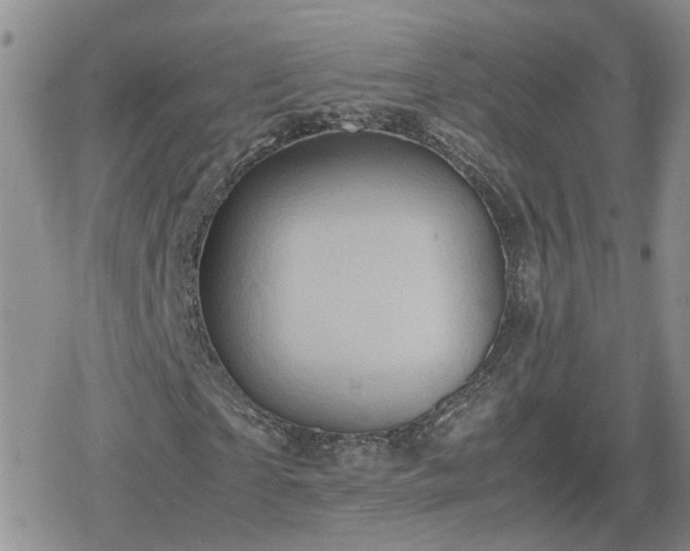 X0000078840865200611201311