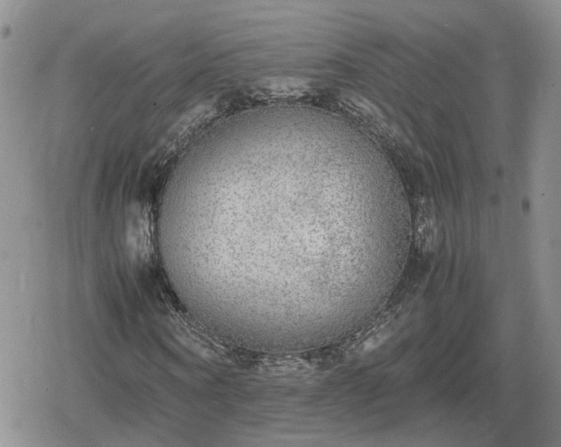 X0000078840866200611201311