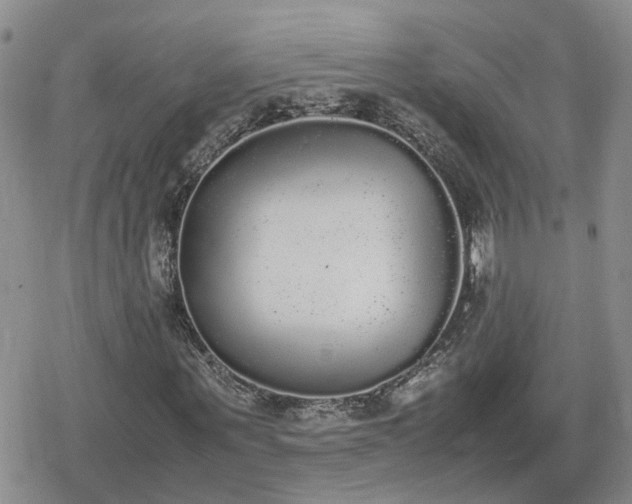 X0000078840867200611201311