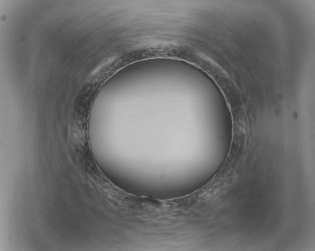 X0000078840869200611201311