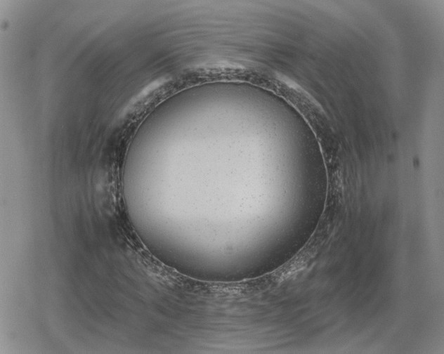 X0000078840870200611201311