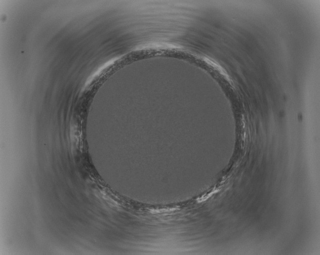 X0000078840872200611201311