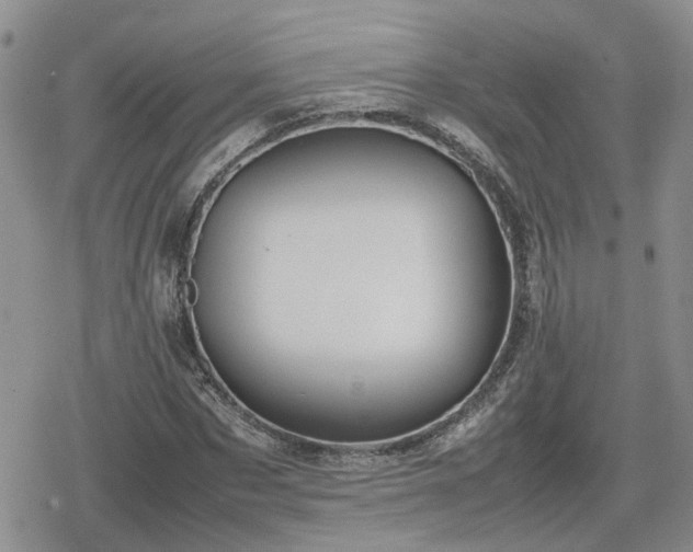 X0000078840873200611201311