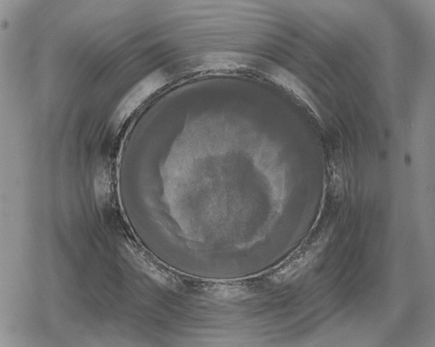 X0000078840874200611201311