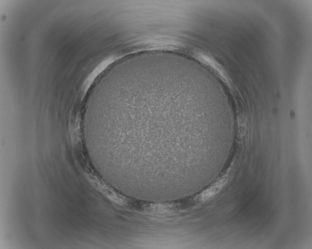 X0000078840875200611201310