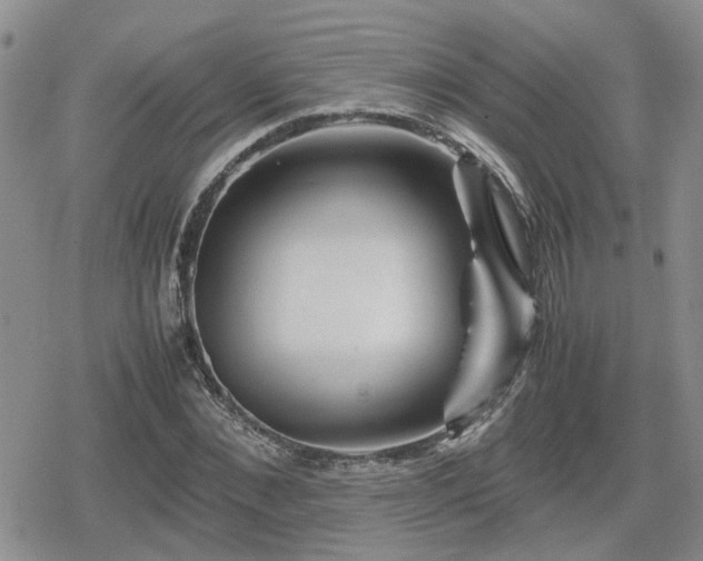 X0000078840876200611201310