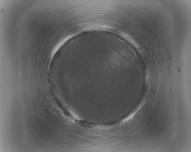 X0000078840877200611201310