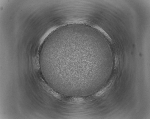 X0000078840878200611201310