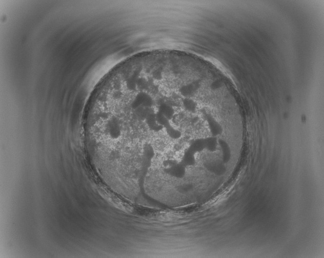 X0000078840879200611201310