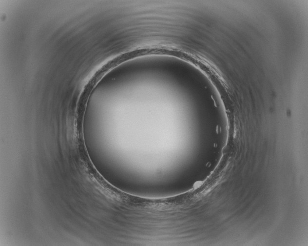 X0000078840880200611201310