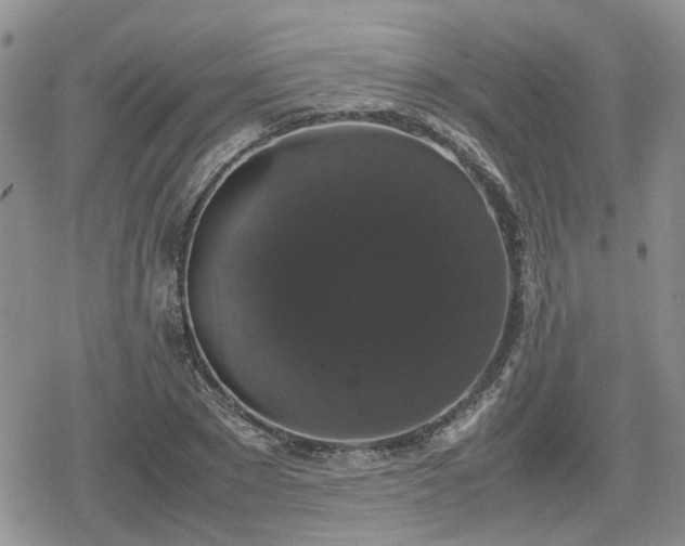 X0000078840881200611201310