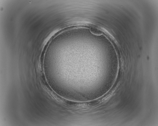 X0000078840883200611201310