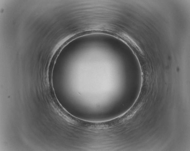 X0000078840884200611201310