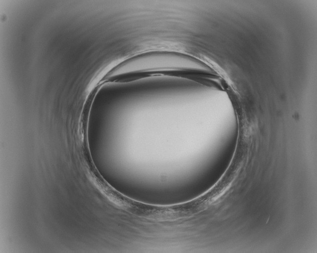 X0000078840885200611201310