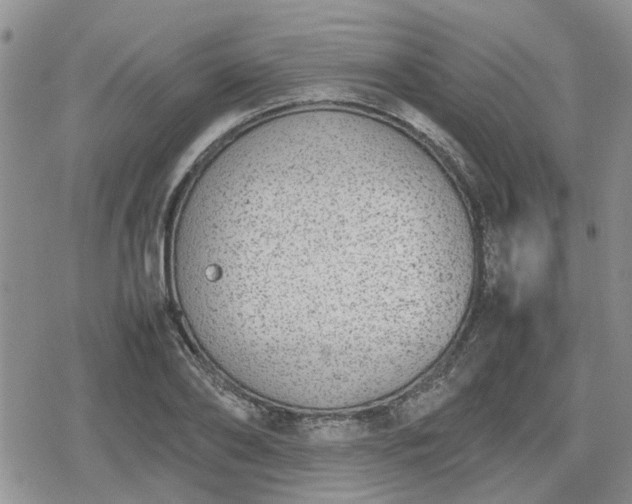 X0000078840886200611201310